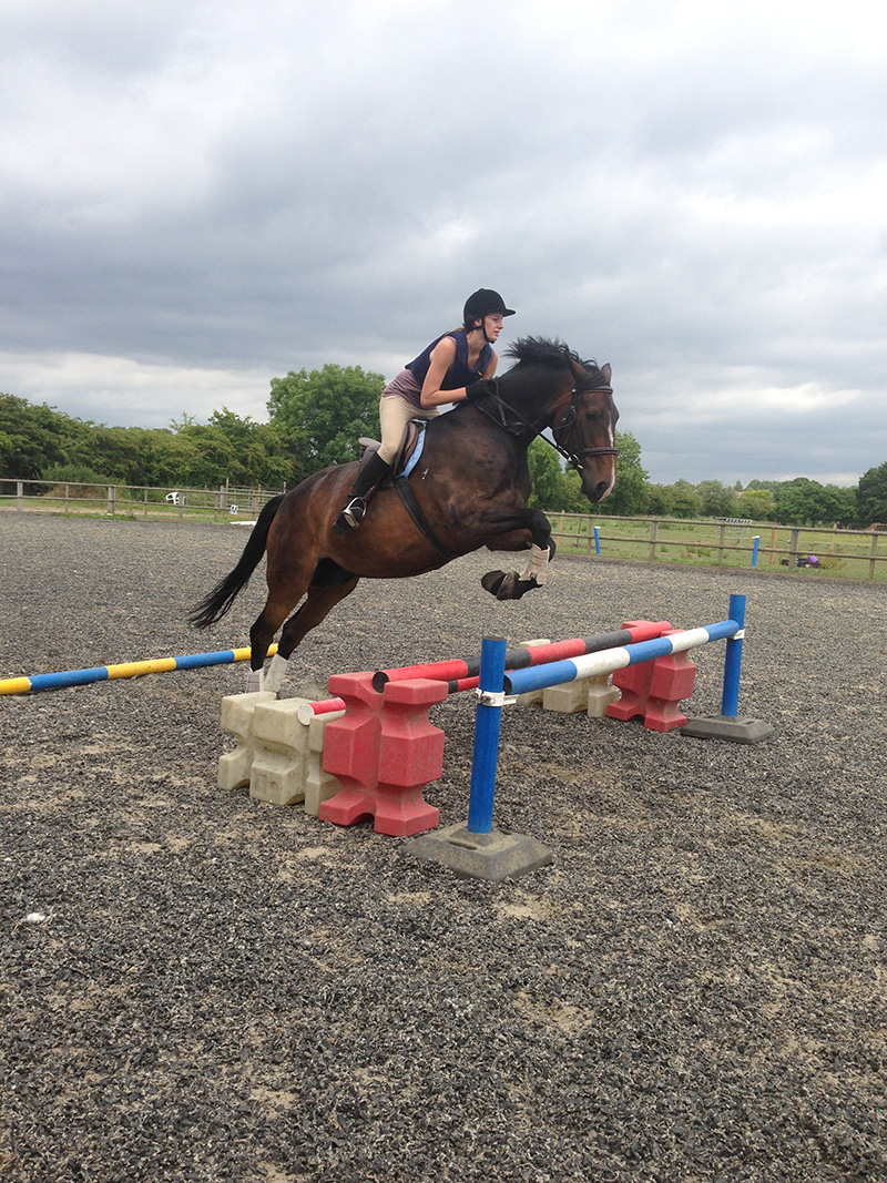 Horse and rider at Littlefield Manor arena, Guildford