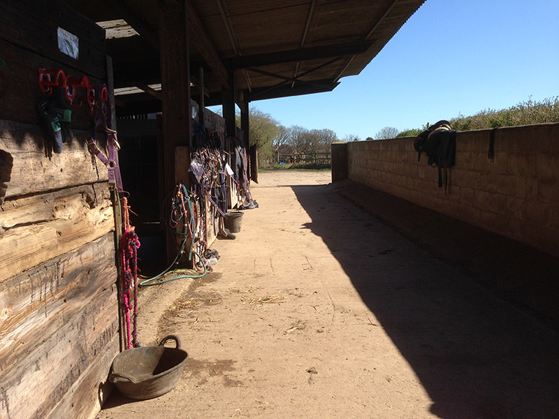 Stables and tack at Littlefield Manor Riding School
