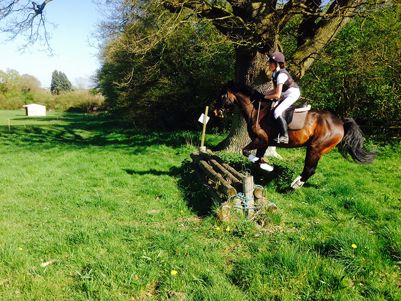 Horse and rider jumping at Littlefield Manor
