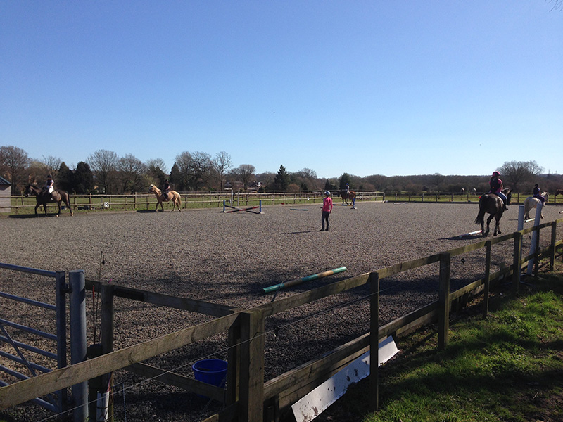 Group riding lesson at Littlefield Manor, Guildford