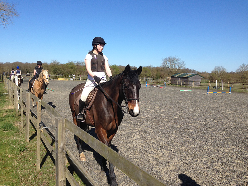 Young rider in the arena at Littlefield Manor, Guildford